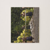 ファイアウォーカー、ポリネシア文化センター、ビティ ジグソーパズル (縦)