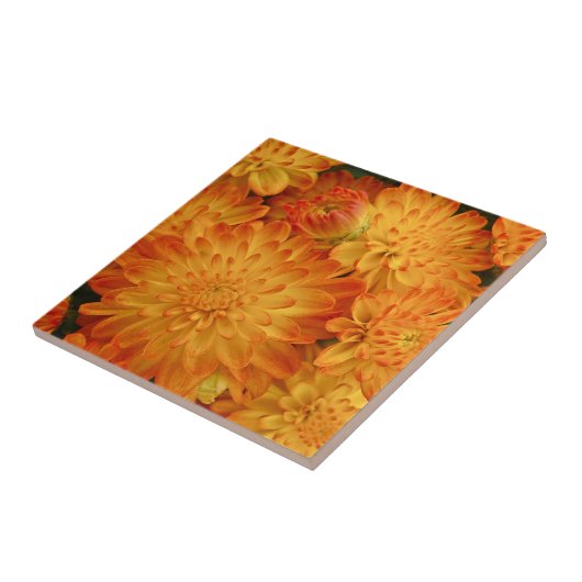 ファイアオレンジ菊 タイル (側面)