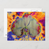 ファイアオーキッド鮮やか、抽象芸術水色フローラ ポストカード (正面/裏面)