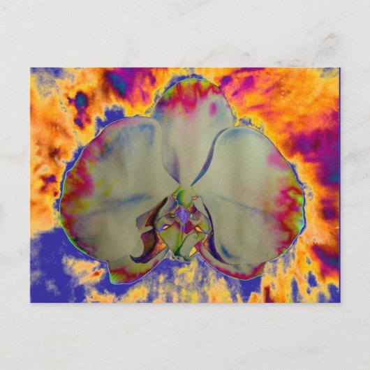 ファイアオーキッド鮮やか、抽象芸術水色フローラ ポストカード (正面)