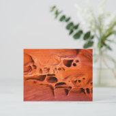 ファイアケーブファンタム ポストカード (スタンド正面)