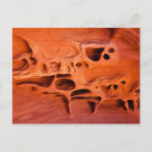 ファイアケーブファンタム ポストカード (正面)