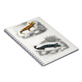 ファイアサラマンダーとヘルベンダーサラマンダー ノートブック (右側)