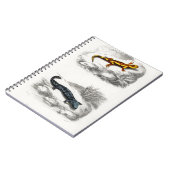 ファイアサラマンダーとヘルベンダーサラマンダー ノートブック (左側)