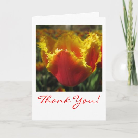 ファイアチューリップサンキューカード サンキューカード (正面)