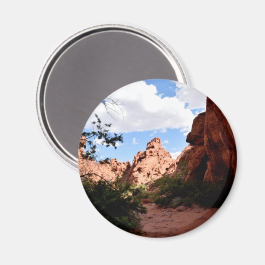 ファイアネバダ渓谷 マグネット (正面/裏面)