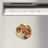 ファイアバグ磁石 マグネット (インサイチュ (食洗機))