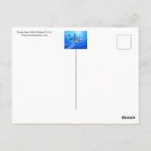 ファイアバード ポストカード (裏面)