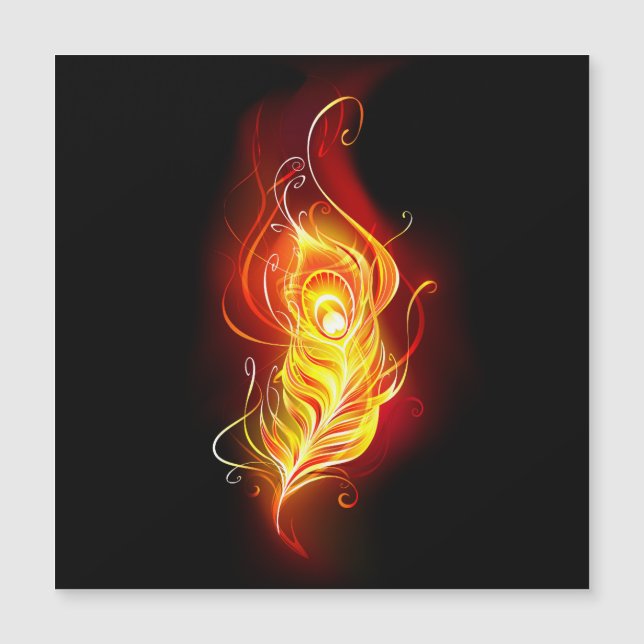 ファイアピーコックの羽根 (正面)