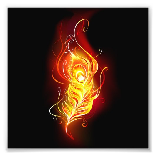 ファイアピーコックの羽根 フォトプリント            (正面)