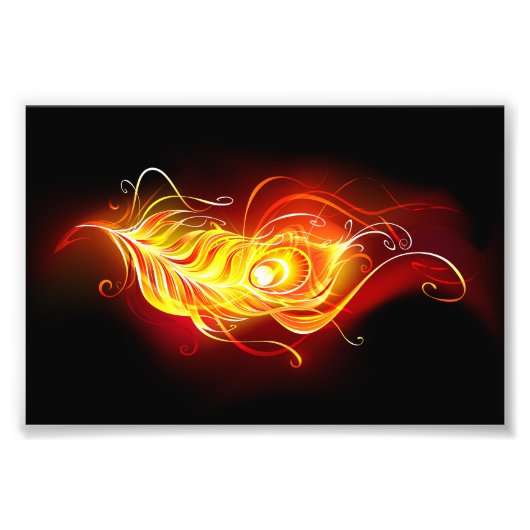 ファイアピーコックの羽根 フォトプリント            (正面)