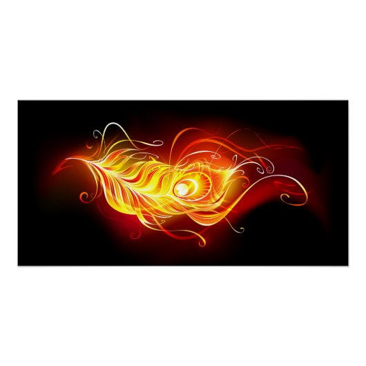 ファイアピーコックの羽根 ポスター (正面)