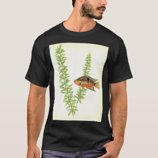 ファイアマウスcichlid Thorichthysミエキ Tシャツ