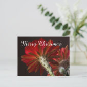 ファイアライトサボテンのまわりにすべて、メリークリスマス シーズンポストカード (スタンド正面)