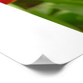 ファイアライトチューリッププリント ポスター (角)