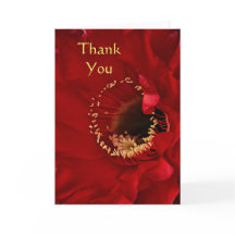 ファイアライト カクタス ありがとう