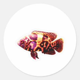 ファイアリータイガーオスカー熱帯魚ステッカー, エキゾチックアクアリウムCi ラウンドシール