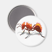 ファイアント マグネット (正面/裏面)