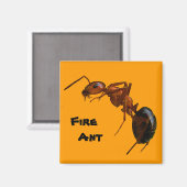 ファイアント マグネット (正面/裏面)