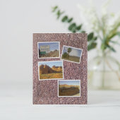 ファイア砂漠の谷 – ネバダ ポストカード (スタンド正面)