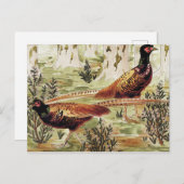 ファイサンス序列：モーリス·ピラール·ヴェルヌイユ ポストカード (正面/裏面)