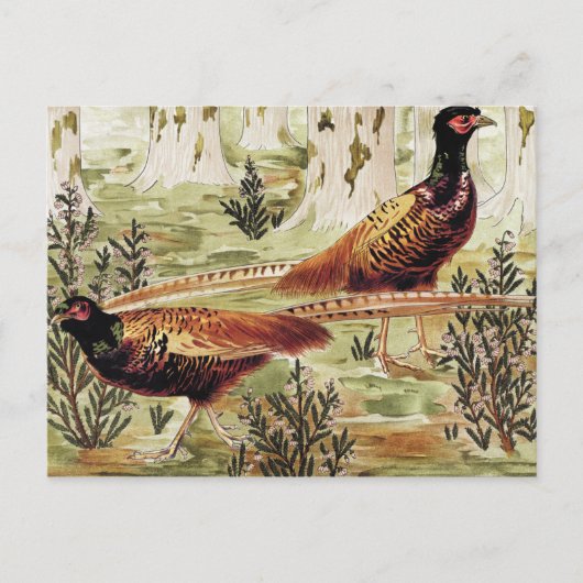 ファイサンス序列：モーリス·ピラール·ヴェルヌイユ ポストカード (正面)