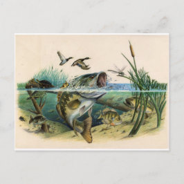 ファイティングベース ポストカード