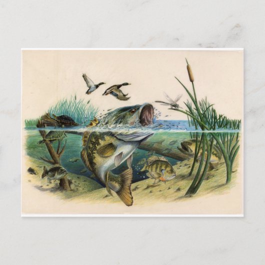 ファイティングベース ポストカード (正面)