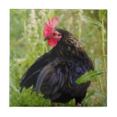 ファイティングルースター タイル (正面)