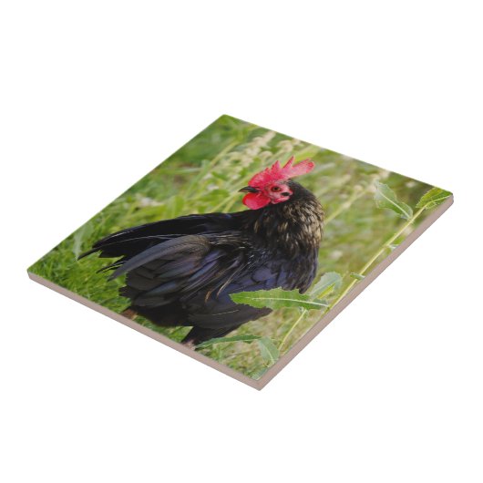 ファイティングルースター タイル (側面)