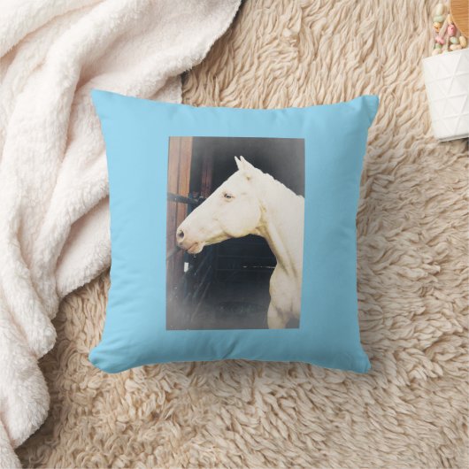 ファイトロッキーファイト装飾用クッション クッション (ブランケット)