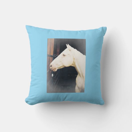 ファイトロッキーファイト装飾用クッション クッション (正面)