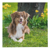 ファイブファミリーフォトコラージュカスタムフォト フォトキューブ (右)