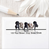 ファイブブラックアンドタンコッカースパニエル犬子犬 ラベル (インサイチュ)