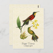 ファイリートパズハミングバーズヴィンテージアート ポストカード (正面/裏面)