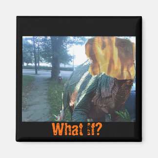 ファイリー・ディノもし何だ？ マグネット