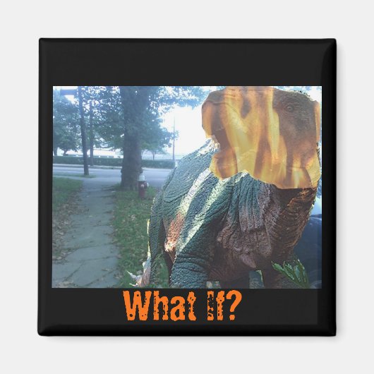 ファイリー・ディノもし何だ？ マグネット (正面)