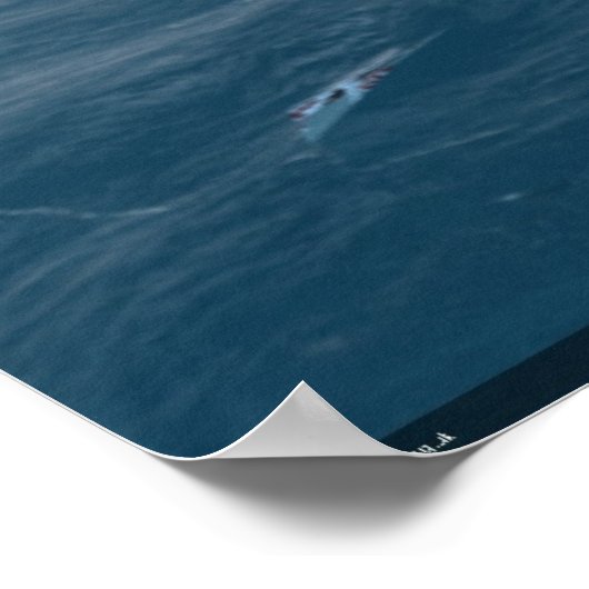 ファイリー・メカジキ – ビスマークをシンク ポスター (角)