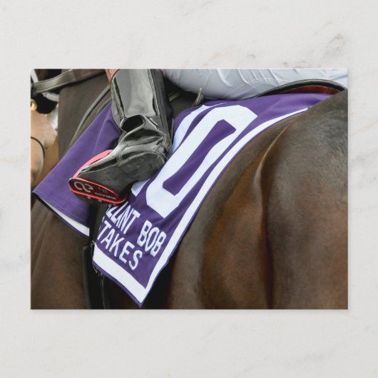 ファイレンズファイアサドルクロス ポストカード (正面)