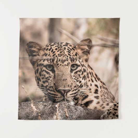 ファインアートのオスヒョウまたはヒョウのポートレート タペストリー (正面)