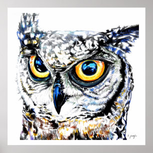 ファインアートのプリント: アメリカワシミミズクのイラストレーション ポスター