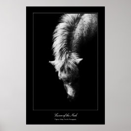 ファインアートの首の曲線，ギャラリースタイル ポスター