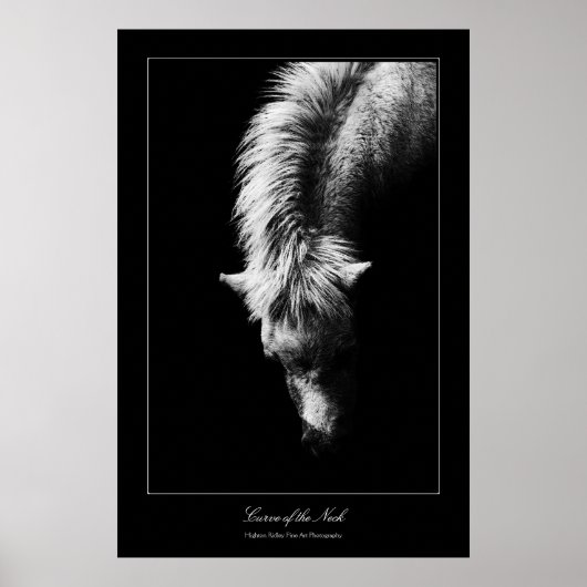 ファインアートの首の曲線，ギャラリースタイル ポスター (正面)