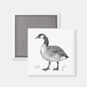 ファインアートカナダグース自然スケッチ マグネット (正面/裏面)