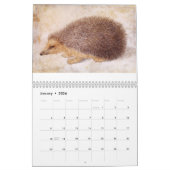 ファインアートコレクション/動物スケッチ2015 カレンダー (1月 2026)