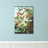 ファインアートハミングバード – アート型枠の自然 キャンバスプリント (インサイチュ (ウッドフロア))