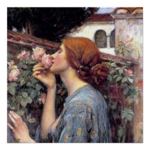 ファインアートバラポスター ポスター