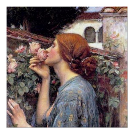 ファインアートバラポスター ポスター (正面)