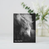 ファインアートポニーヘッドとマネ葉書 ポストカード (スタンド正面)