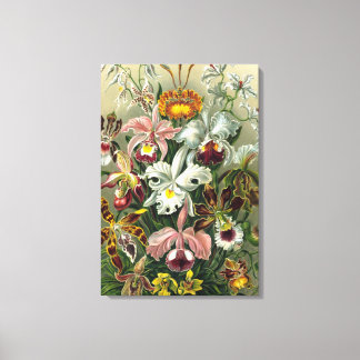 ファインアートラン – アート型枠の自然 キャンバスプリント